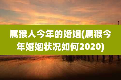 属猴人今年的婚姻(属猴今年婚姻状况如何2020)