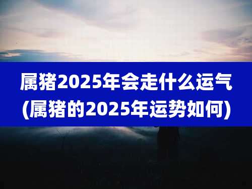 属猪2025年会走什么运气(属猪的2025年运势如何)