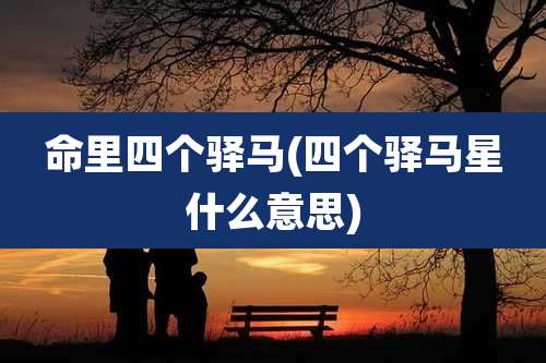 命里四个驿马(四个驿马星什么意思)