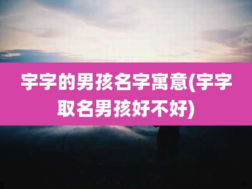 宇字的男孩名字寓意(宇字取名男孩好不好)