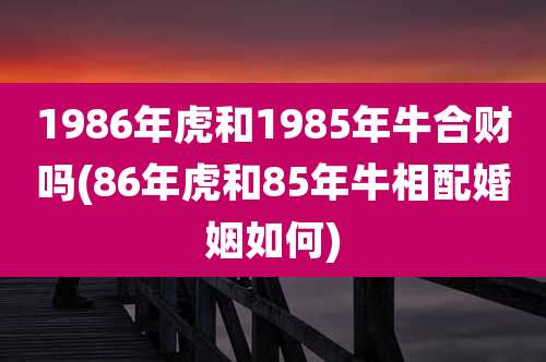 1986年虎和1985年牛合财吗(86年虎和85年牛相配婚姻如何)