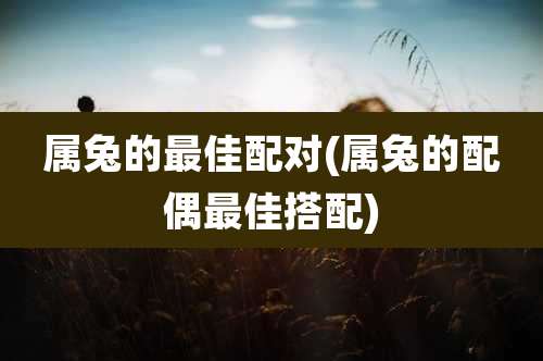 属兔的最佳配对(属兔的配偶最佳搭配)