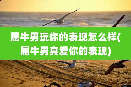 属牛男玩你的表现怎么样(属牛男真爱你的表现)