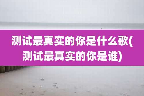 测试最真实的你是什么歌(测试最真实的你是谁)
