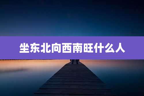 坐东北向西南旺什么人