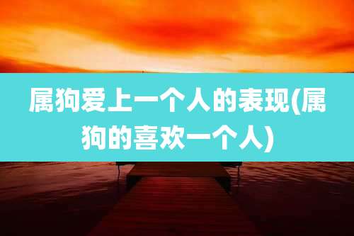 属狗爱上一个人的表现(属狗的喜欢一个人)