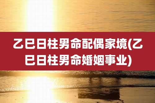 乙巳日柱男命配偶家境(乙巳日柱男命婚姻事业)
