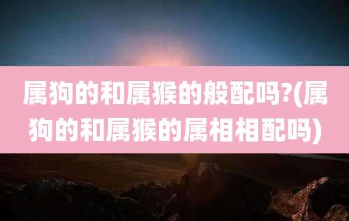属狗的和属猴的般配吗?(属狗的和属猴的属相相配吗)
