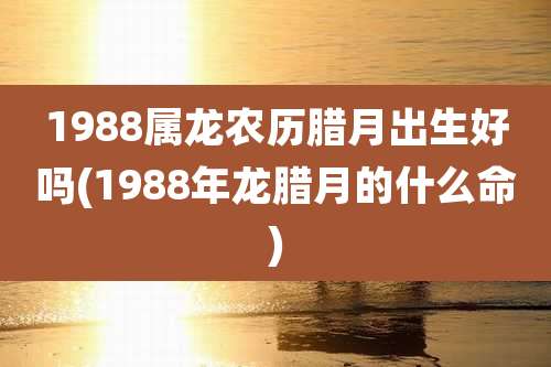 1988属龙农历腊月出生好吗(1988年龙腊月的什么命)