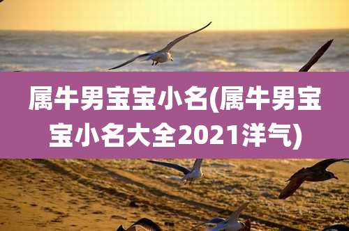 属牛男宝宝小名(属牛男宝宝小名大全2021洋气)
