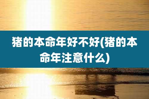 猪的本命年好不好(猪的本命年注意什么)