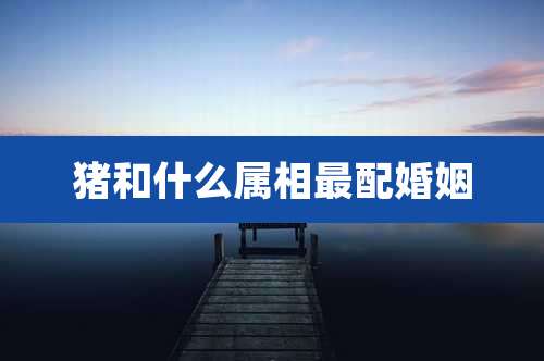 猪和什么属相最配婚姻