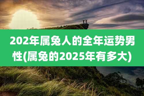 202年属兔人的全年运势男性(属兔的2025年有多大)