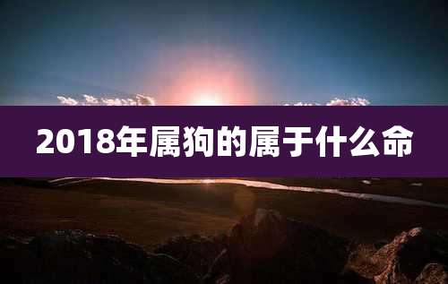 2018年属狗的属于什么命
