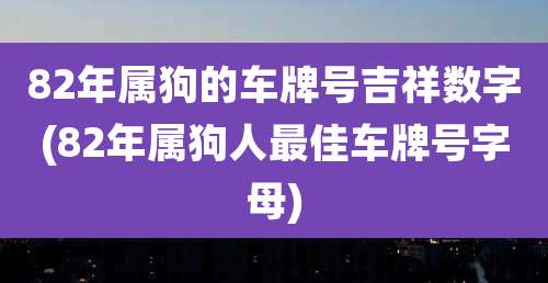 82年属狗的车牌号吉祥数字(82年属狗人最佳车牌号字母)