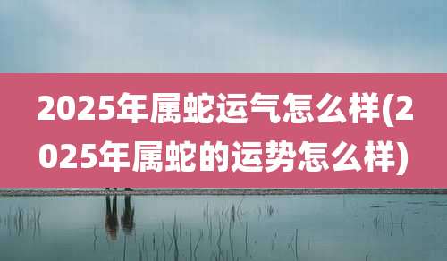 2025年属蛇运气怎么样(2025年属蛇的运势怎么样)
