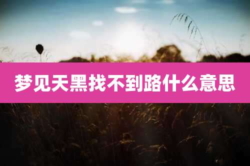 梦见天黑找不到路什么意思