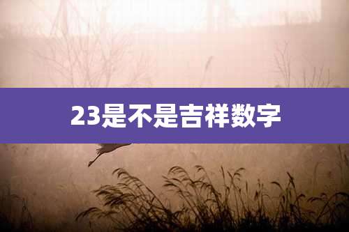 23是不是吉祥数字
