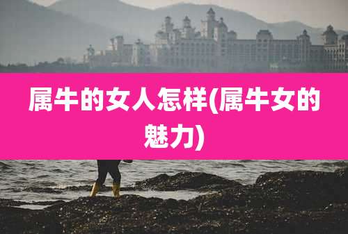 属牛的女人怎样(属牛女的魅力)