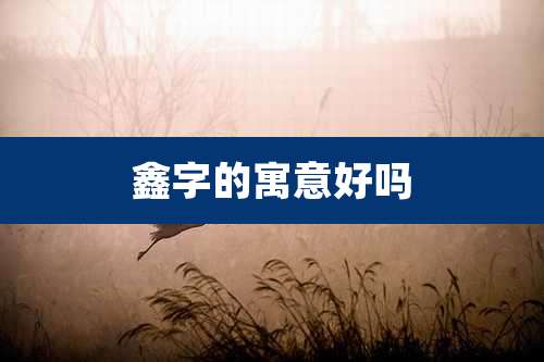 鑫字的寓意好吗