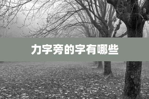 力字旁的字有哪些