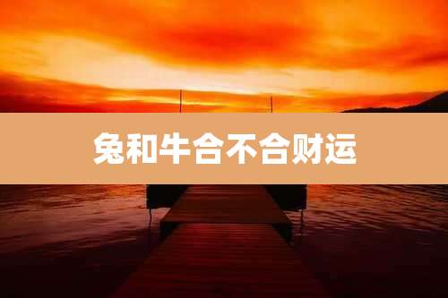 兔和牛合不合财运