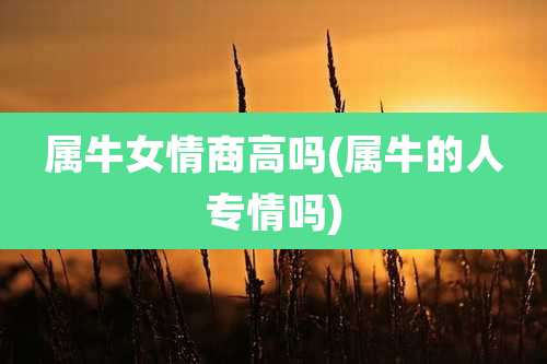 属牛女情商高吗(属牛的人专情吗)