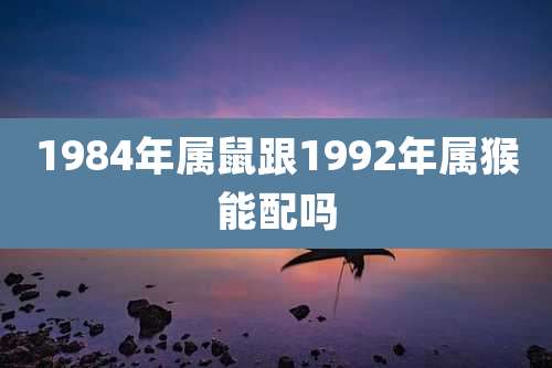 1984年属鼠跟1992年属猴能配吗