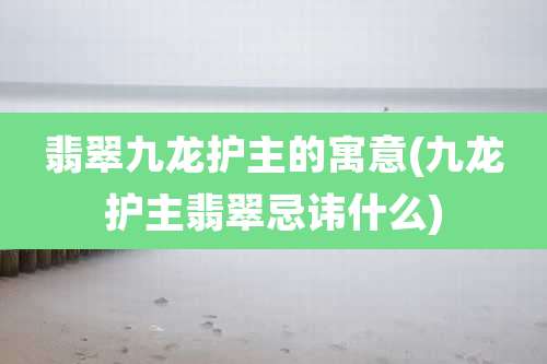 翡翠九龙护主的寓意(九龙护主翡翠忌讳什么)