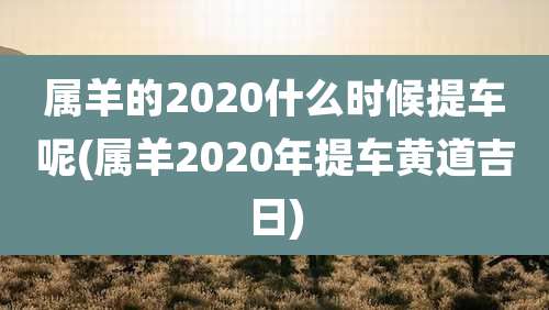 属羊的2020什么时候提车呢(属羊2020年提车黄道吉日)