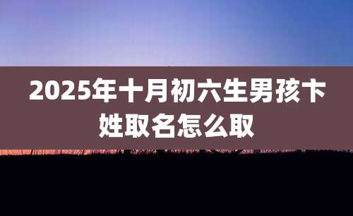 2025年十月初六生男孩卞姓取名怎么取