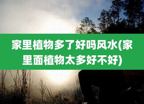 家里植物多了好吗风水(家里面植物太多好不好)