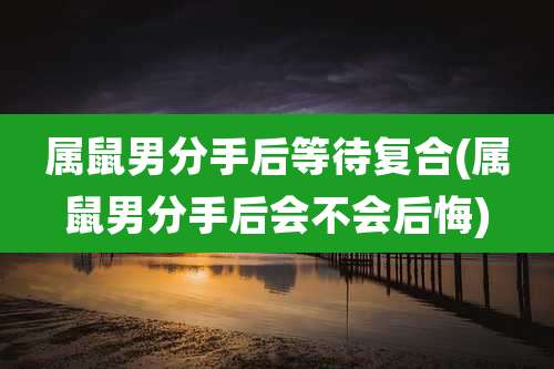 属鼠男分手后等待复合(属鼠男分手后会不会后悔)
