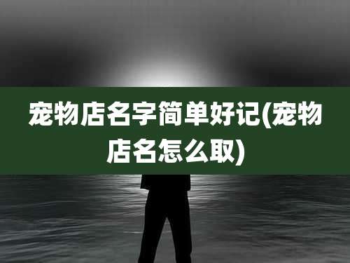 宠物店名字简单好记(宠物店名怎么取)