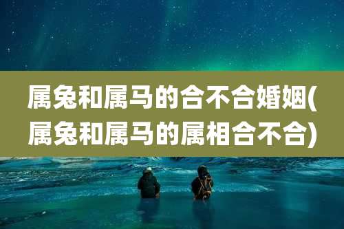属兔和属马的合不合婚姻(属兔和属马的属相合不合)