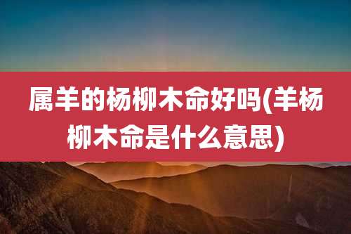 属羊的杨柳木命好吗(羊杨柳木命是什么意思)