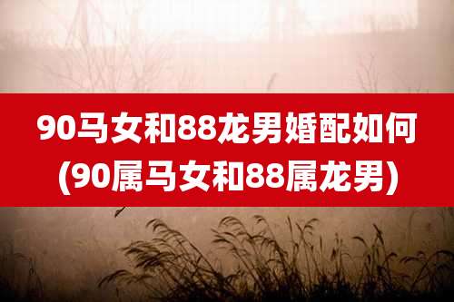 90马女和88龙男婚配如何(90属马女和88属龙男)