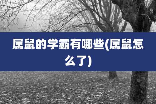 属鼠的学霸有哪些(属鼠怎么了)