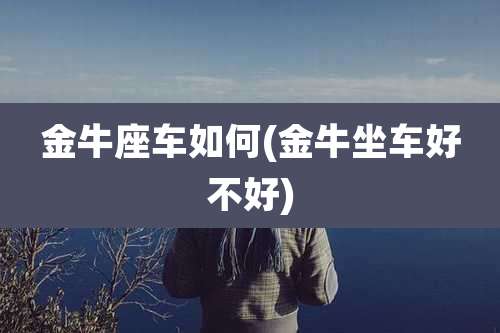 金牛座车如何(金牛坐车好不好)