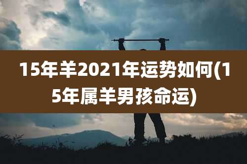15年羊2021年运势如何(15年属羊男孩命运)