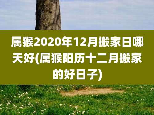 属猴2020年12月搬家日哪天好(属猴阳历十二月搬家的好日子)