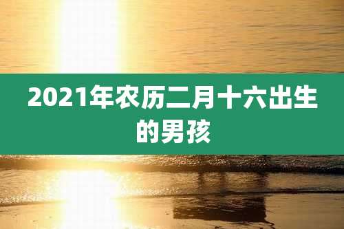 2021年农历二月十六出生的男孩