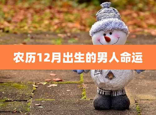 农历12月出生的男人命运