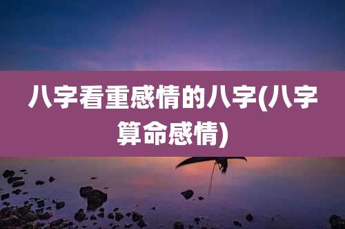 八字看重感情的八字(八字算命感情)