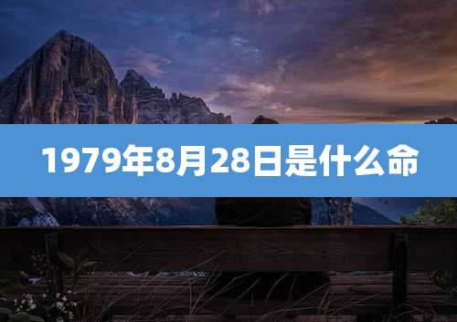 1979年8月28日是什么命