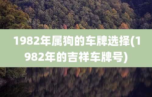 1982年属狗的车牌选择(1982年的吉祥车牌号)