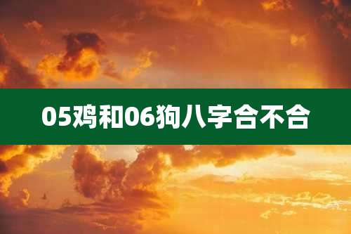 05鸡和06狗八字合不合