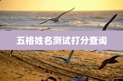 五格姓名测试打分查询