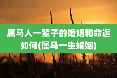 属马人一辈子的婚姻和命运如何(属马一生婚姻)
