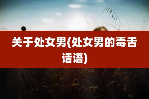 关于处女男(处女男的毒舌话语)